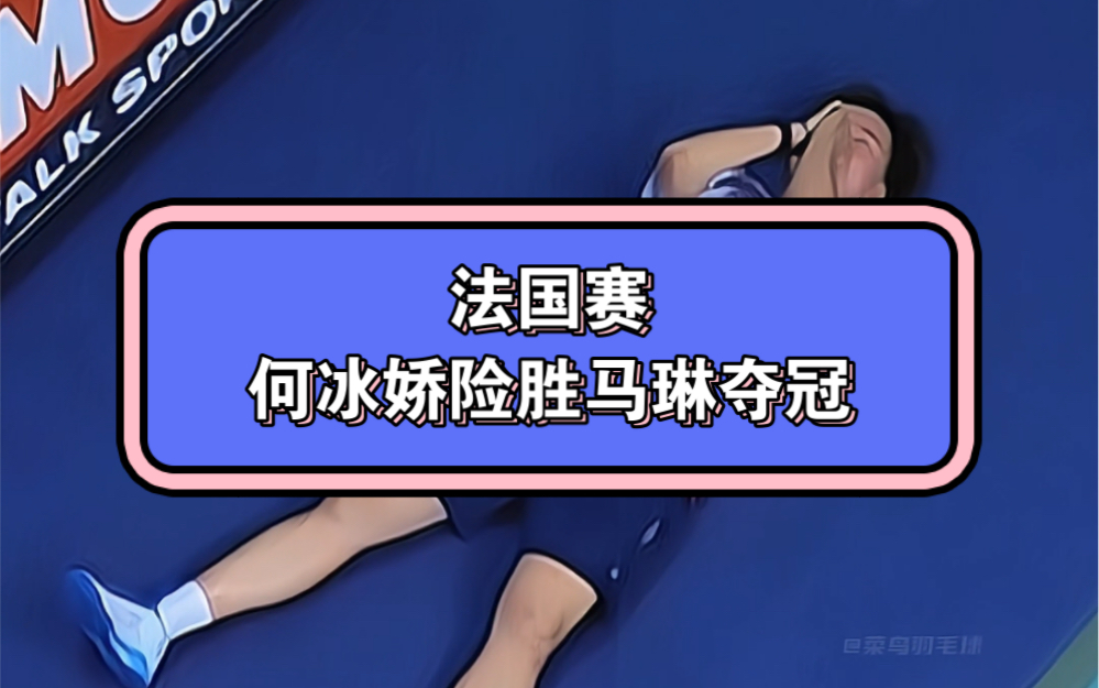 日本羽毛球队碾压法国羽毛球队,马琳统治全场的简单介绍 日本羽毛球队碾压法国羽毛球队,马琳统治全场的简单介绍