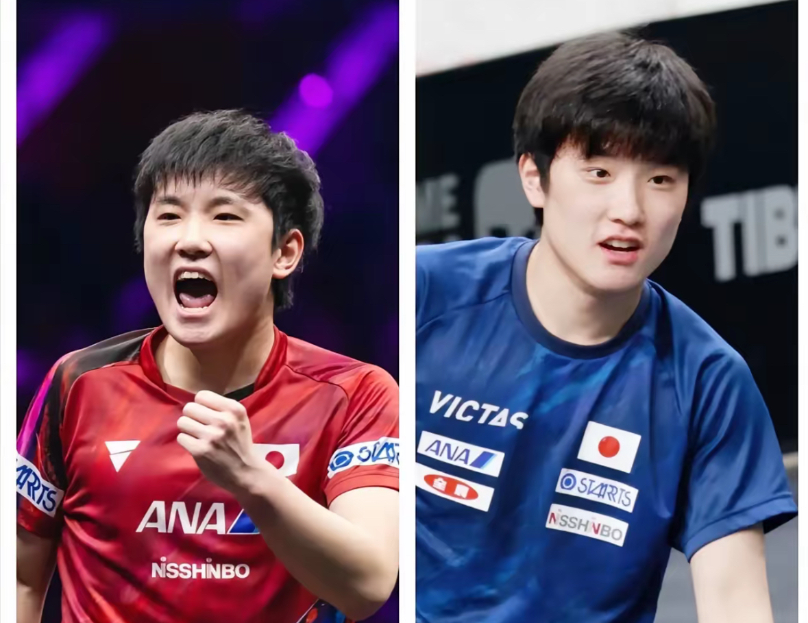 瑞典乒乓球队翻盘波兰乒乓球队，张本智和统治全场的简单介绍