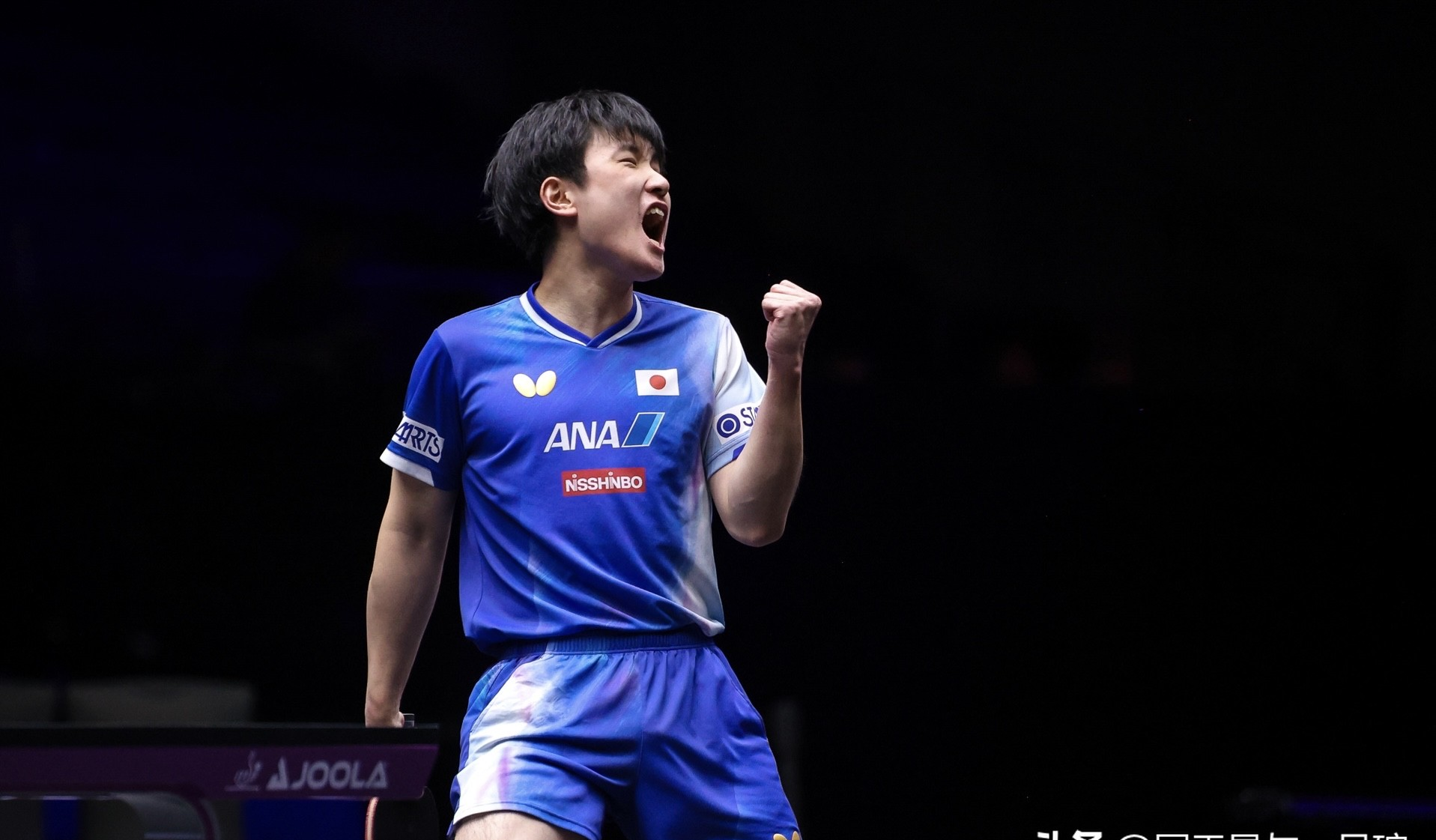 包含日本乒乓球队轻取法国乒乓球队,张本智和惊艳世界的词条 包含日本乒乓球队轻取法国乒乓球队,张本智和惊艳世界的词条