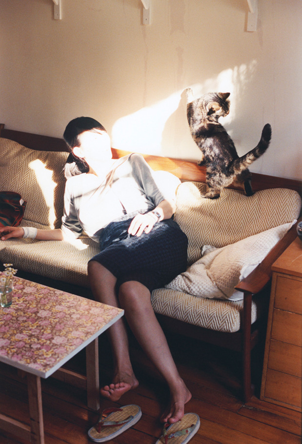 哈利伯顿展现巨星价值,尼克斯一波带走森林狼